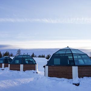 Arctic Snowhotel & Glass Igloos